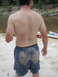 IMG_0356 (Large)
