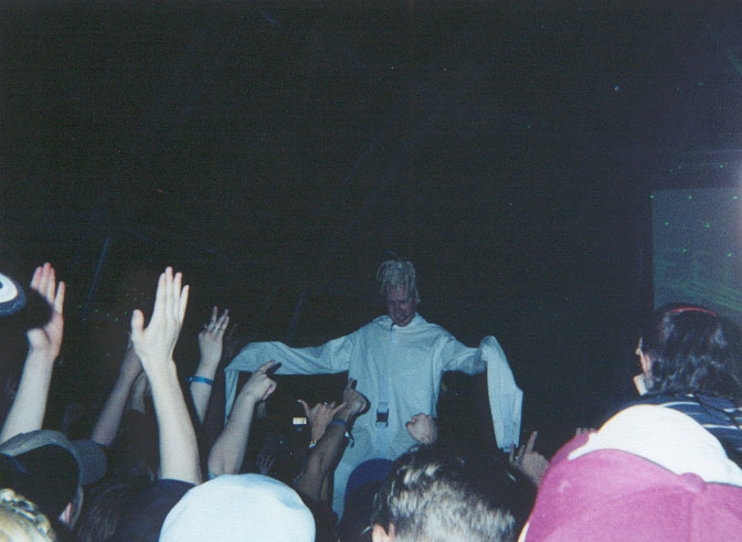Rabbit In The Moon (straight jacket)