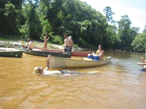 IMG_0480 _Large_.JPG